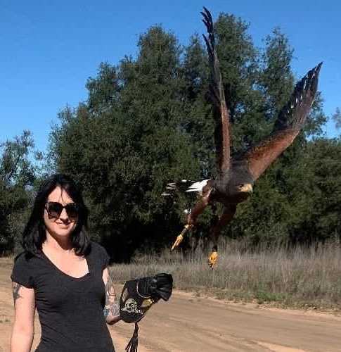 Kristin S. — Owner & Groomer, KCS Dog Spaw